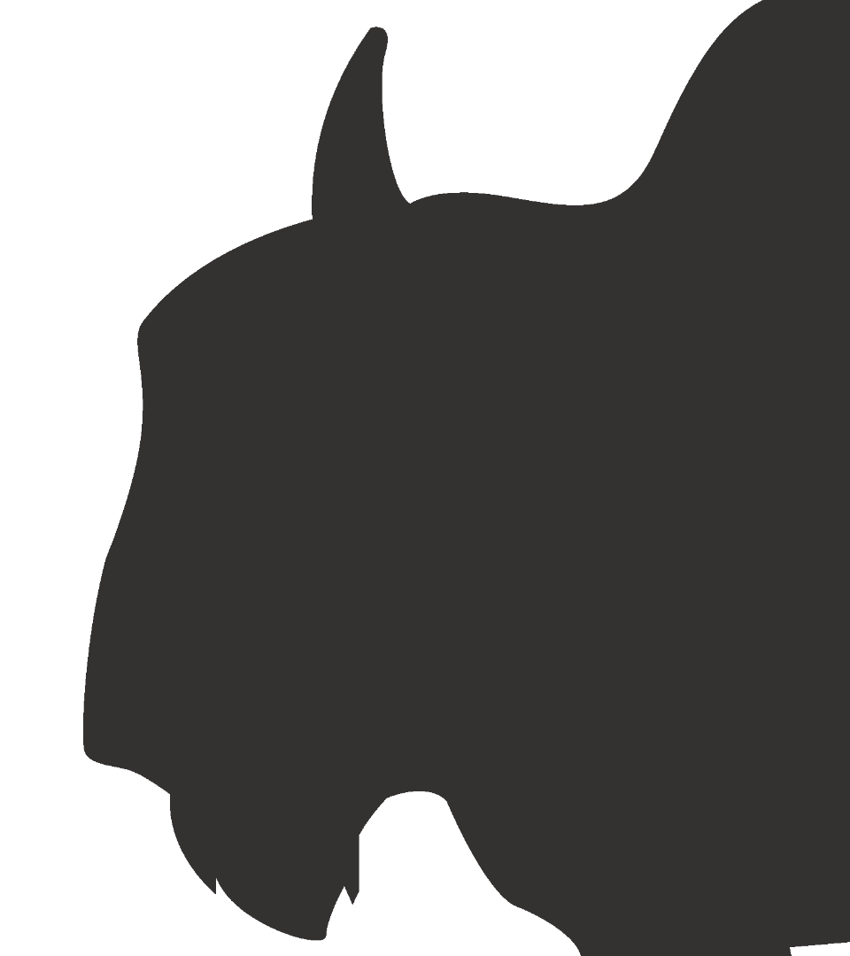 Humble Buffalo